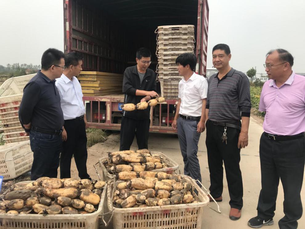 聚集创新要素  助力乡村振兴